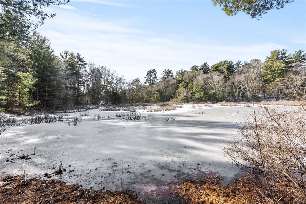 115 Kennedy Road Stoughton, MA 02072 - Photo 39 of 42 a view of road with trees
