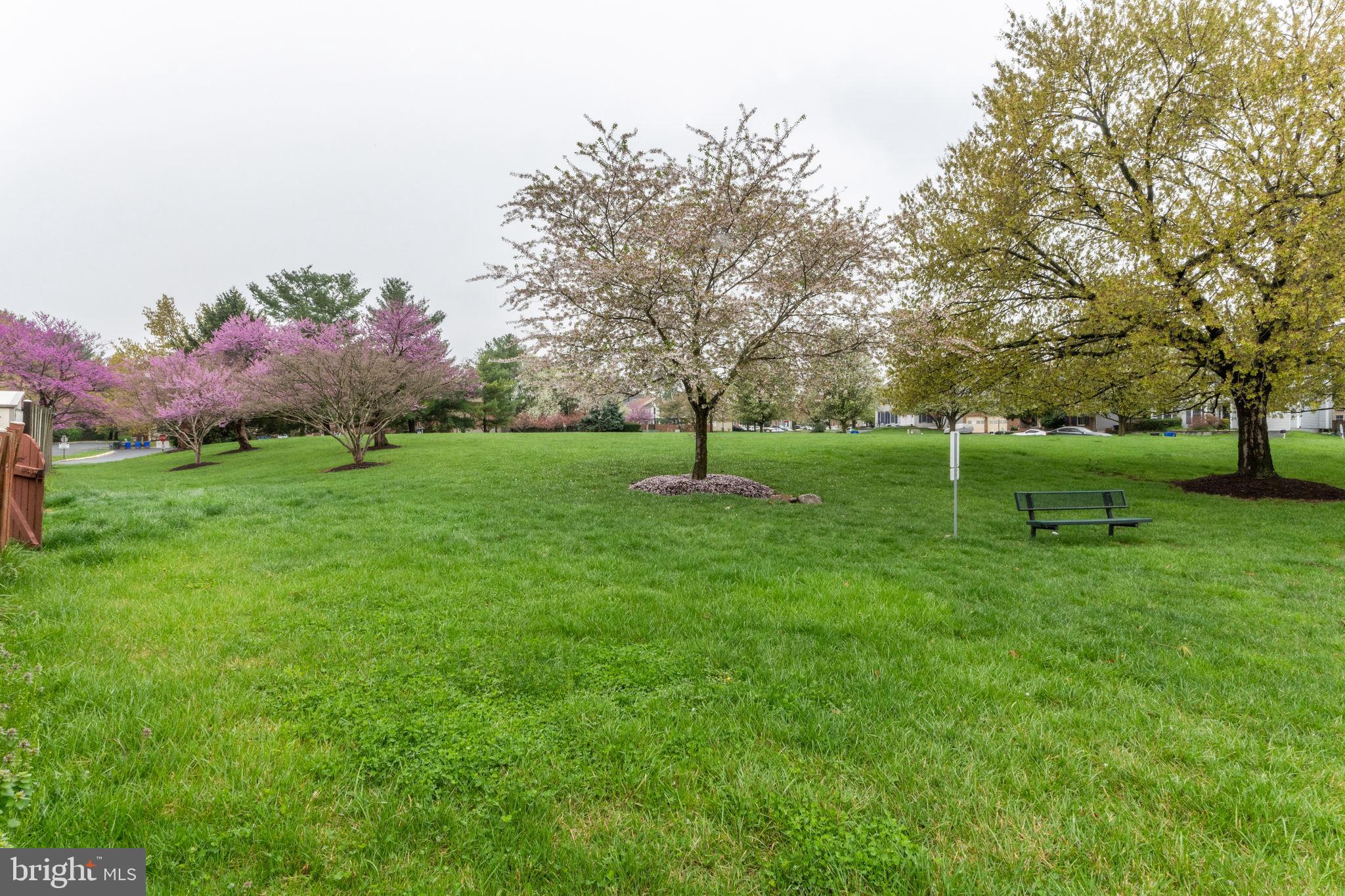 5620 Denton Court Frederick, MD 21703 - Photo 32 of 33 a garden with trees in the background