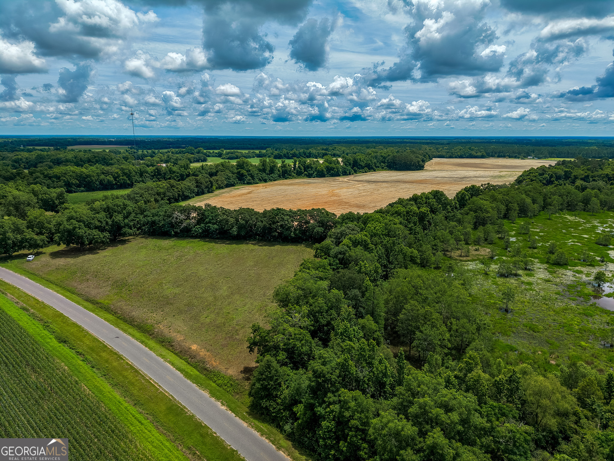 1 Haynes Road Edison, GA 39846 - Photo 23 of 25