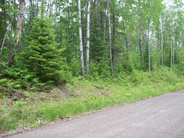 Lot 61 Bowie Road Presque Isle, WI 54557 - Photo 5 of 6 Gallery Image 5