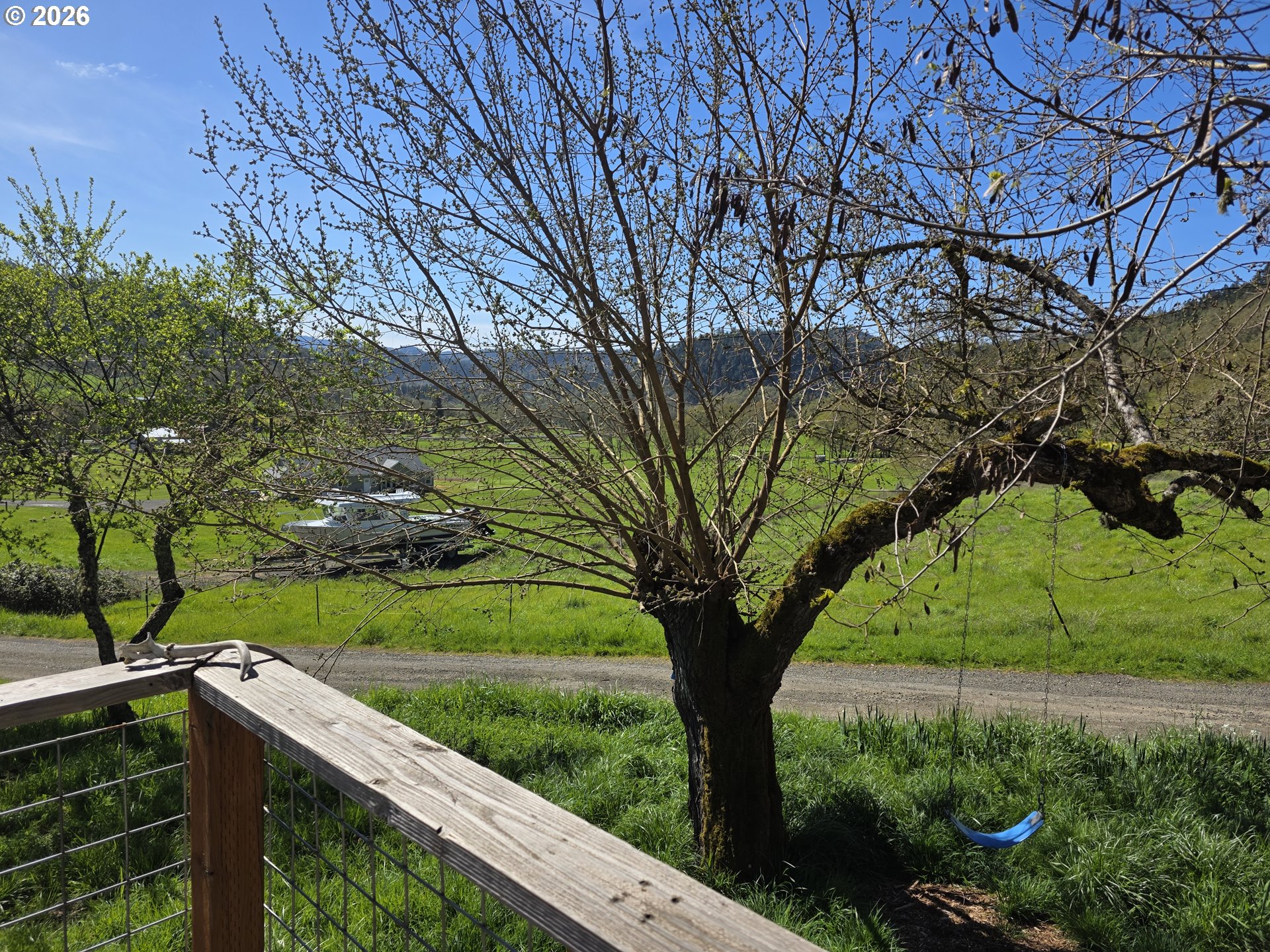 4341 Happy Valley Road Roseburg, OR 97471 - Photo 7 of 18 a view of a garden with a tree