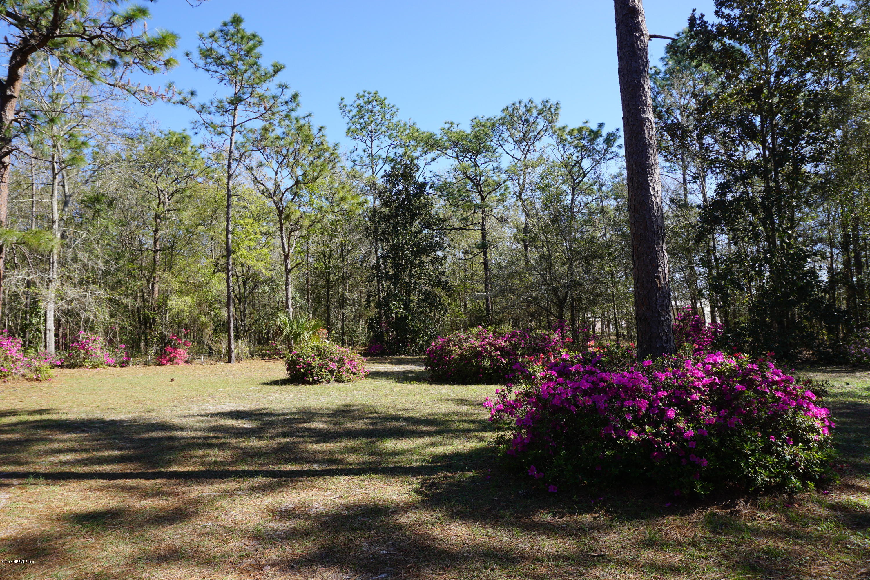 9200 Crystal Springs Road Jacksonville, FL 32221 - Photo 17 of 56 View from the front porch 2
