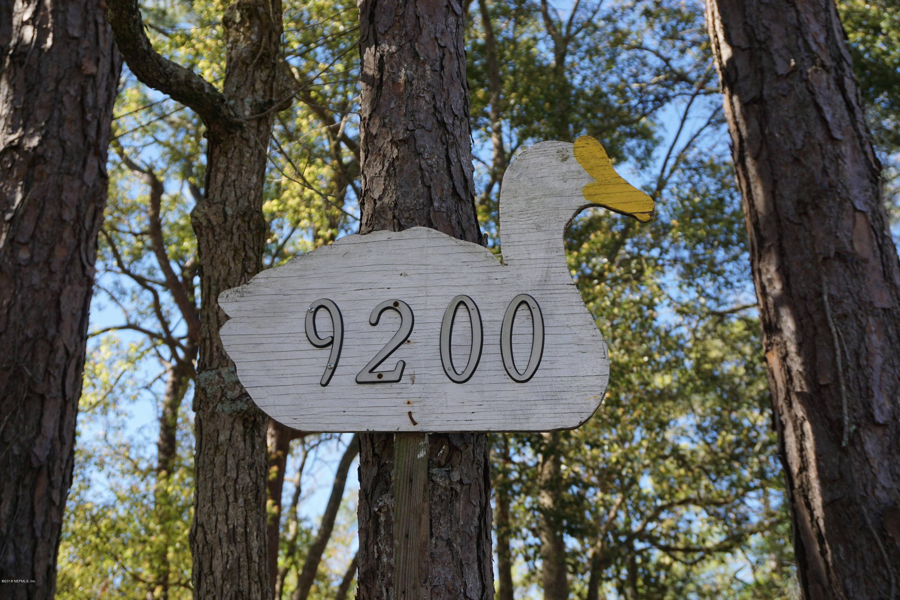 9200 Crystal Springs Road Jacksonville, FL 32221 - Photo 5 of 56 Follow the duck!