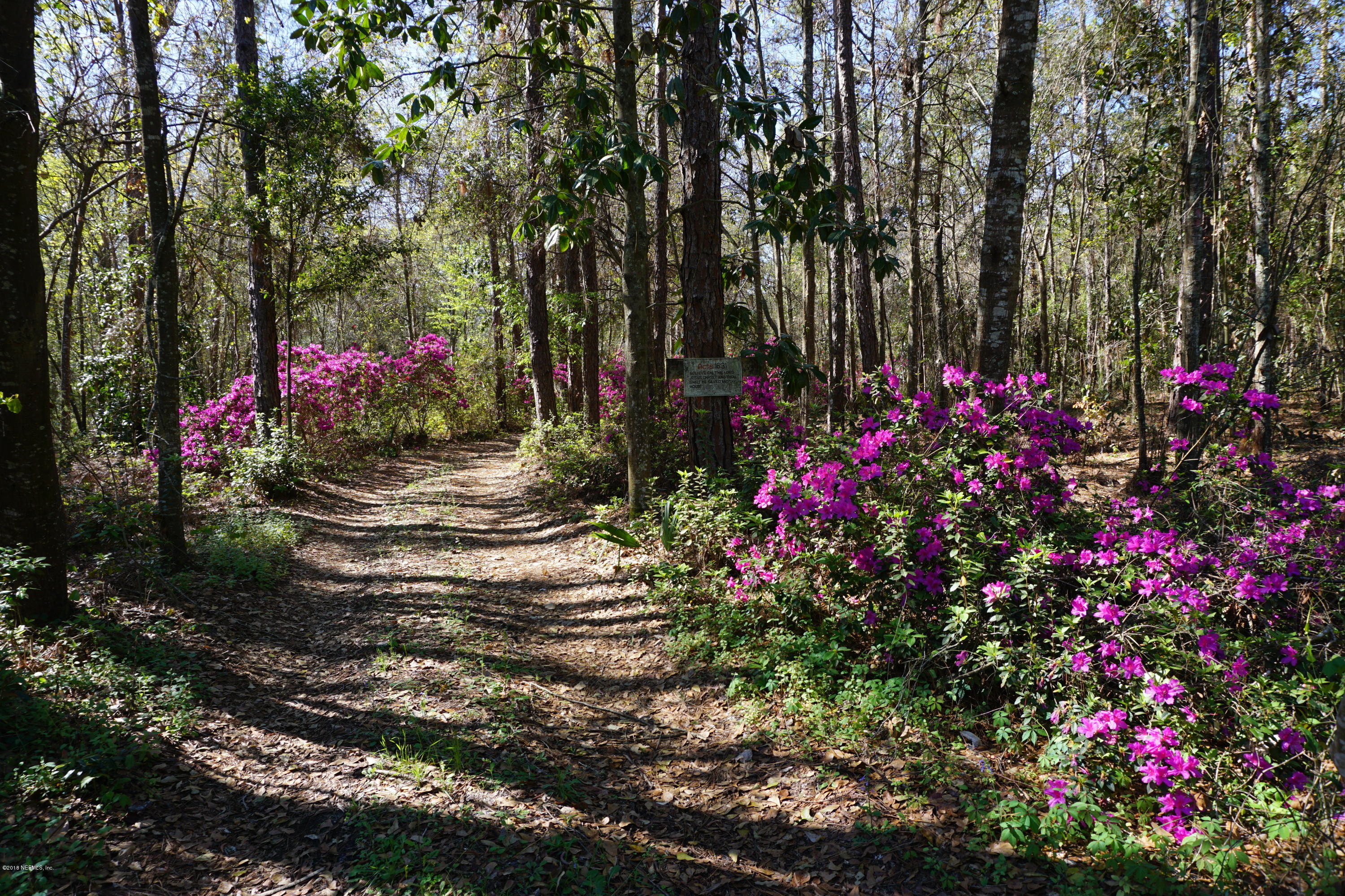 9200 Crystal Springs Road Jacksonville, FL 32221 - Photo 6 of 56 The driveway is gorgeous in the spring!