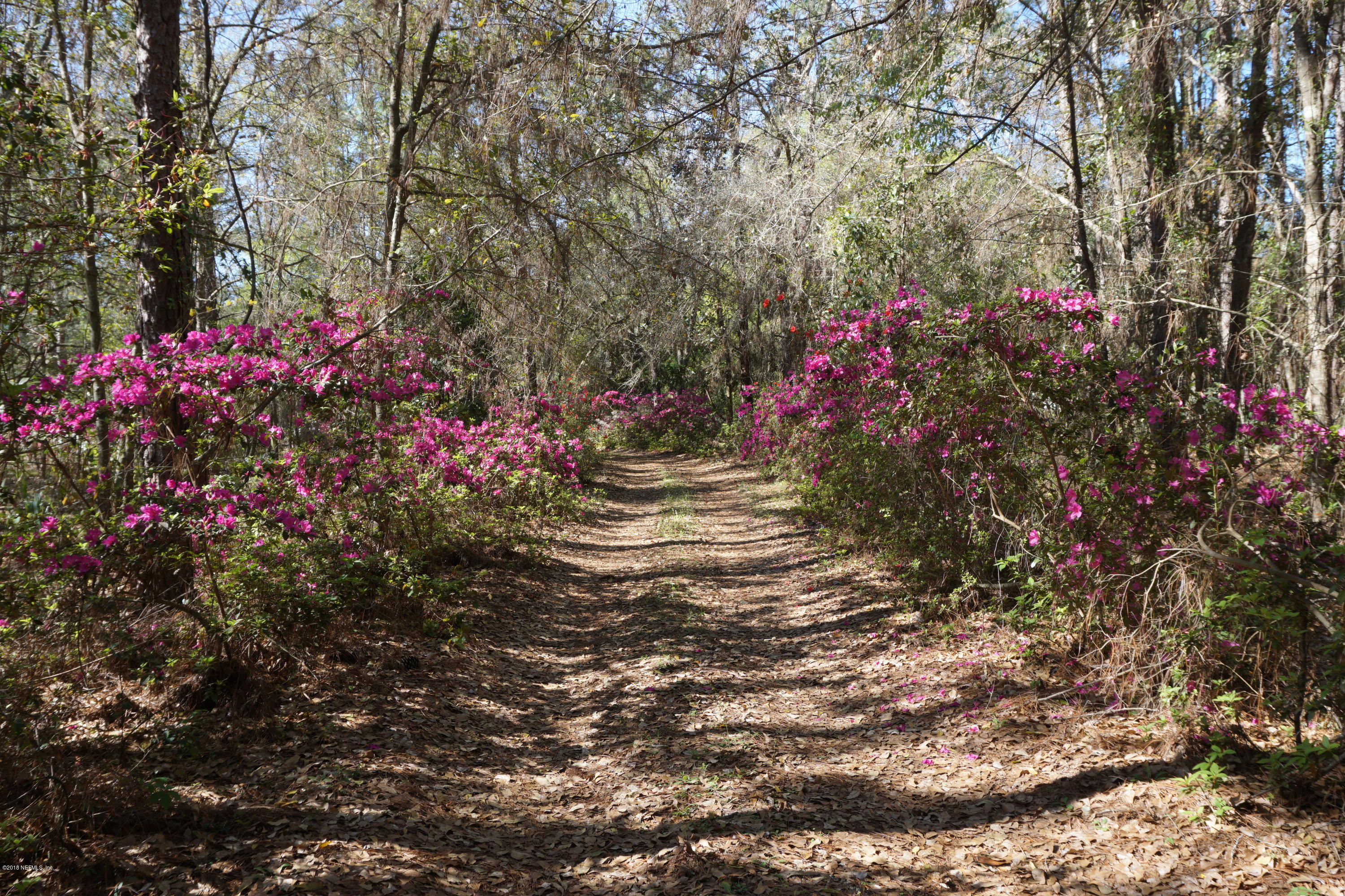 9200 Crystal Springs Road Jacksonville, FL 32221 - Photo 7 of 56 The Driveway