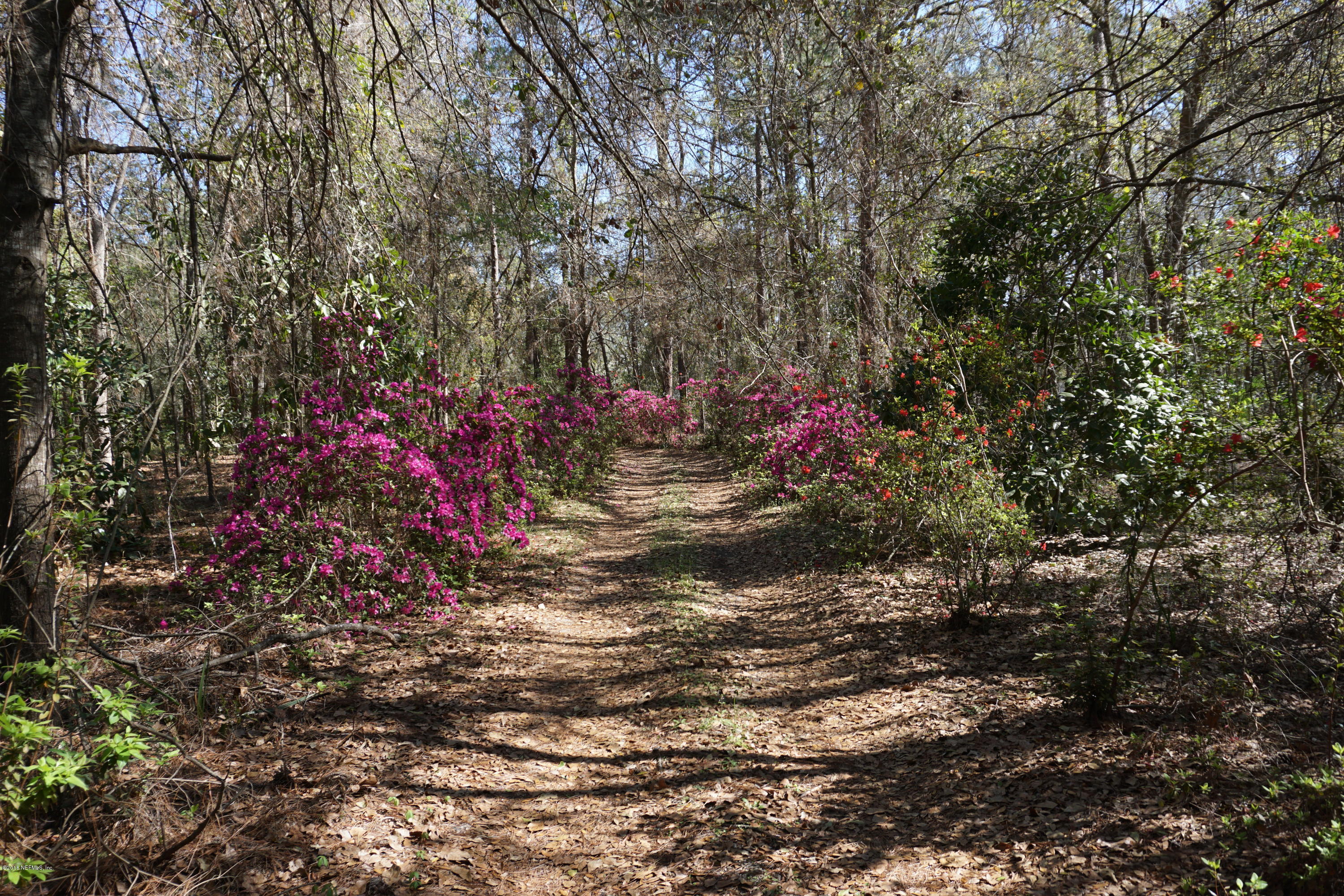 9200 Crystal Springs Road Jacksonville, FL 32221 - Photo 8 of 56 The Driveway 2