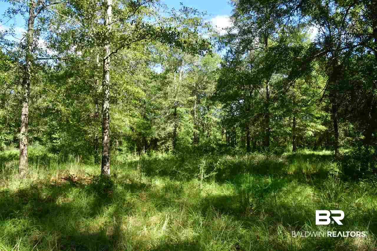 1341 Radcliff Road Creola, AL 36525 - Photo 16 of 21