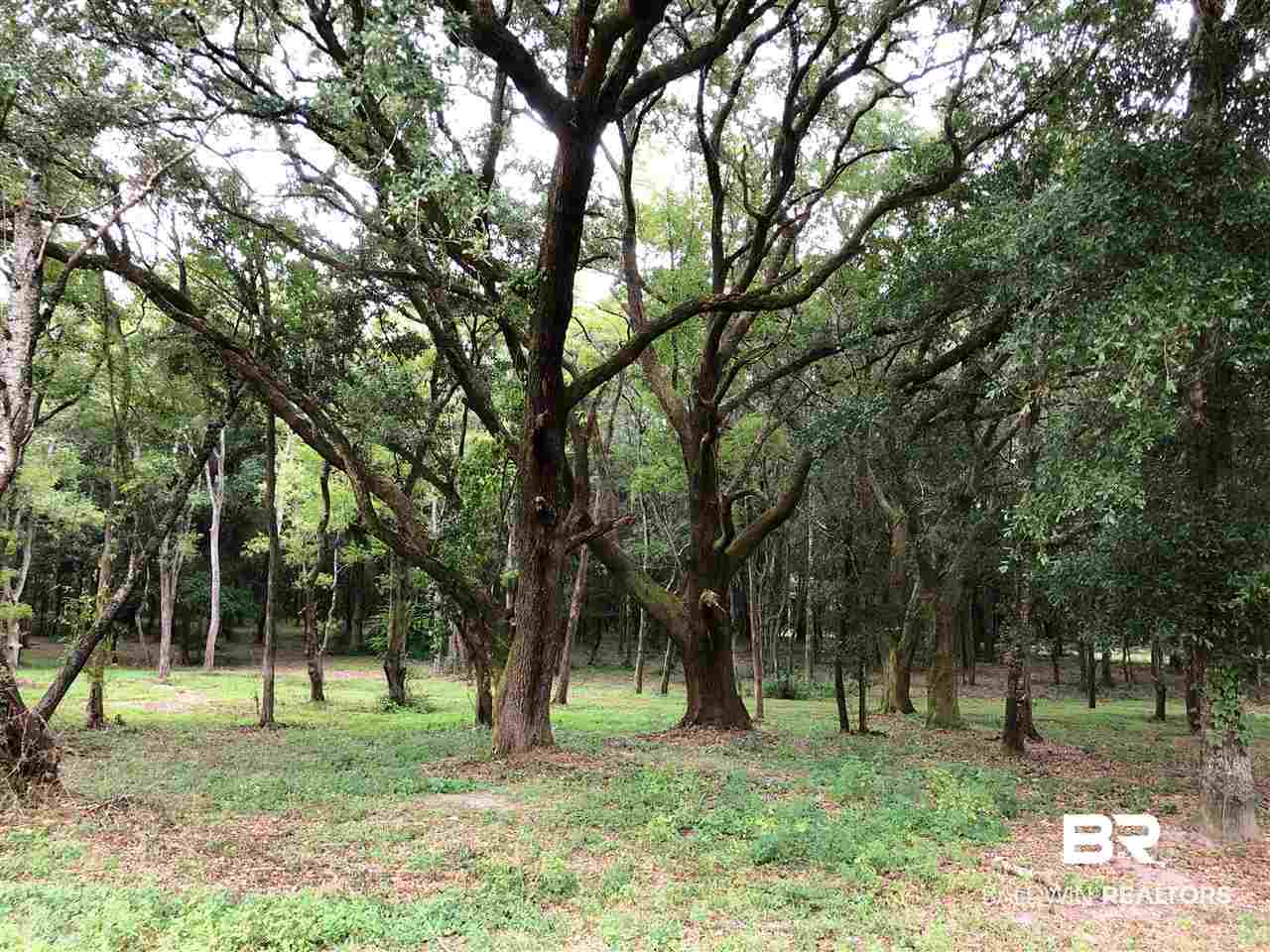 16440 Newman Road Summerdale, AL 36580 - Photo 6 of 29