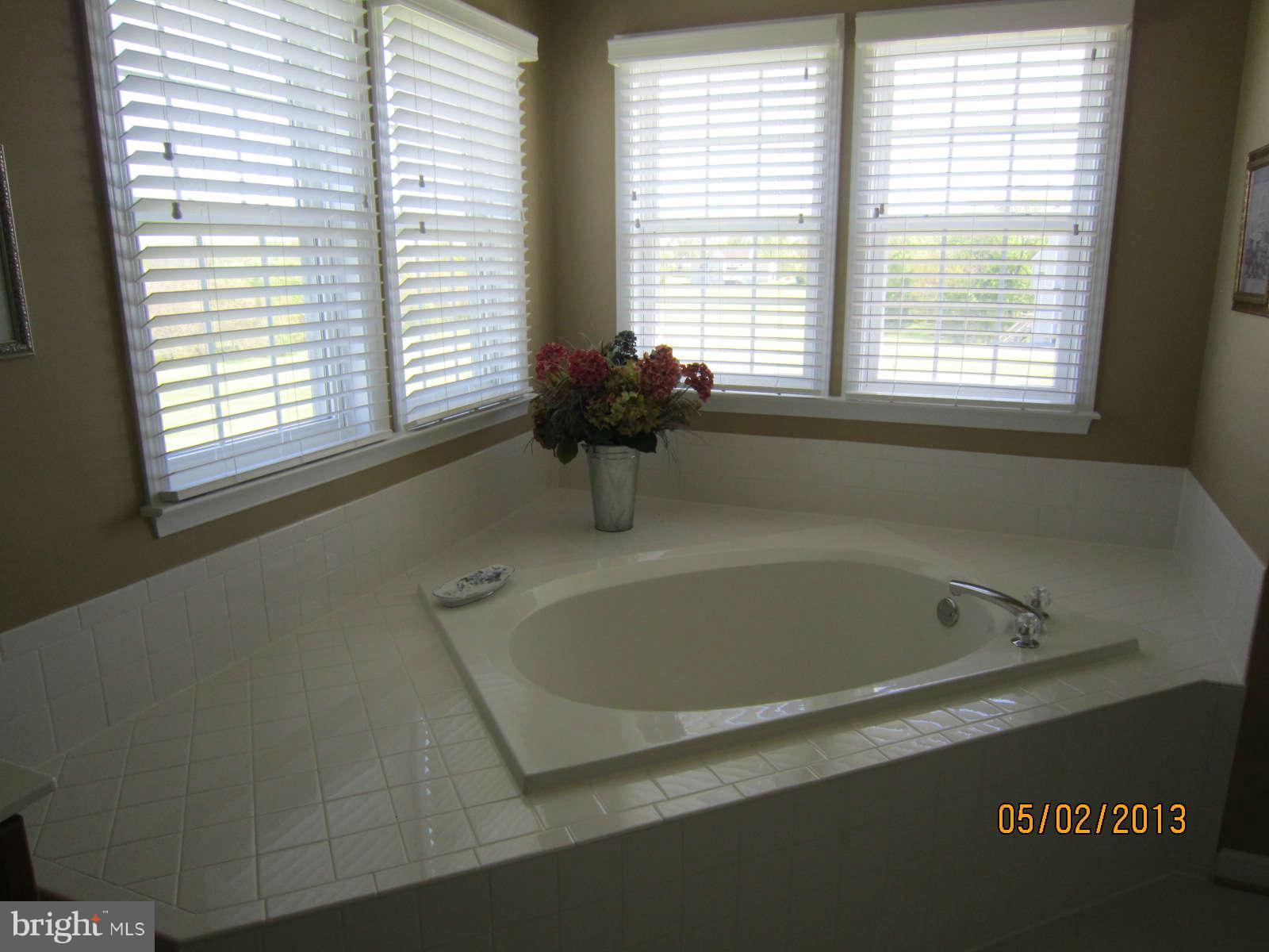 307 Rudder Road Shepherdstown, WV 25443 - Photo 22 of 30 Bath (Master)