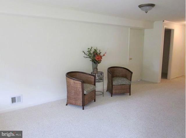 8819 Battery Road Alexandria, VA 22308 - Photo 17 of 18 Family Room on Lower Level 1