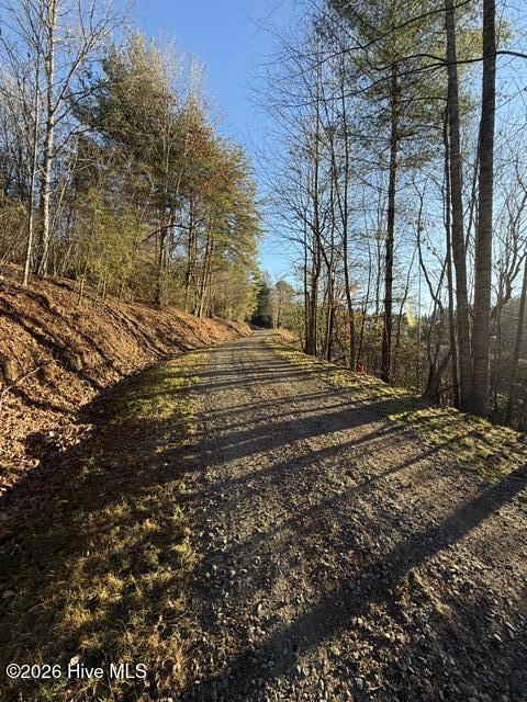 Lot 5 Downings Creek Road Hayesville, NC 28904 - Photo 5 of 11