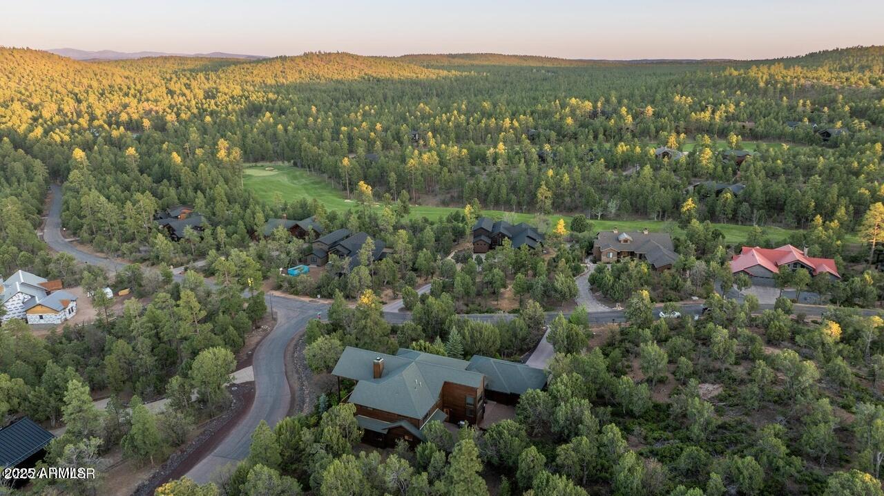 3180 Snowberry Loop Show Low, AZ 85901 - Photo 28 of 101 an aerial view of residential house with outdoor space and trees all around