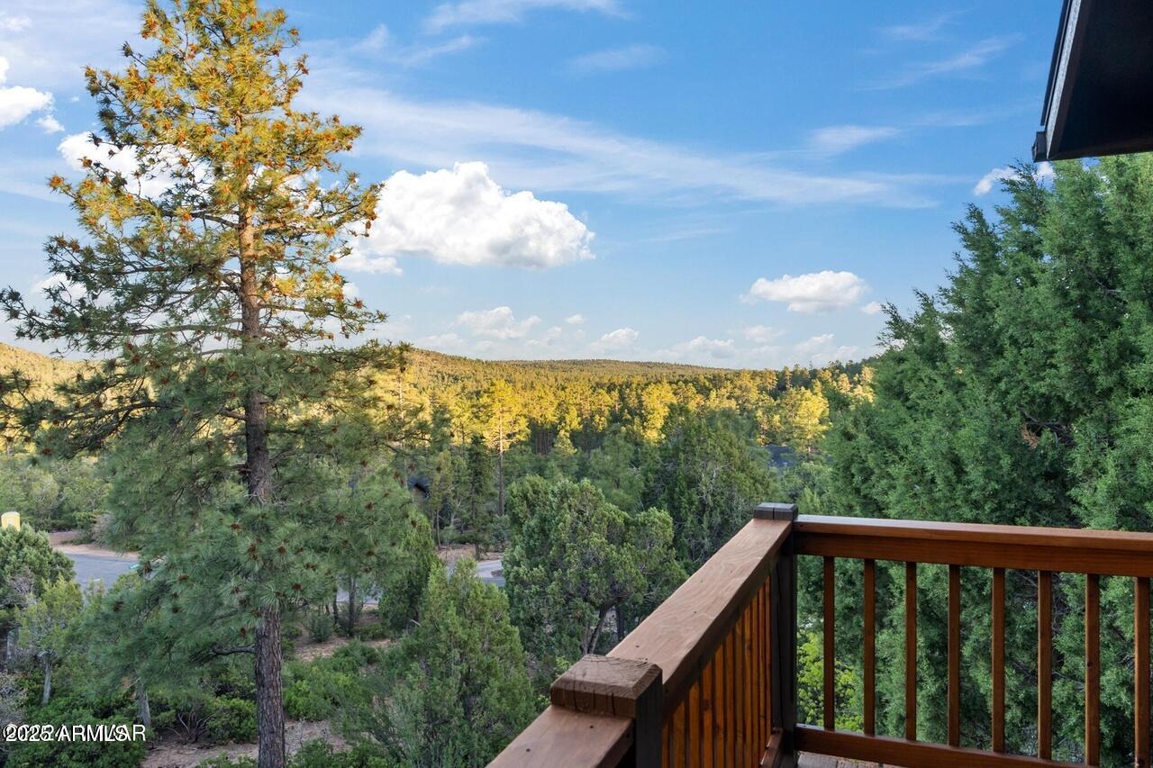 3180 Snowberry Loop Show Low, AZ 85901 - Photo 53 of 101 250885_59_0