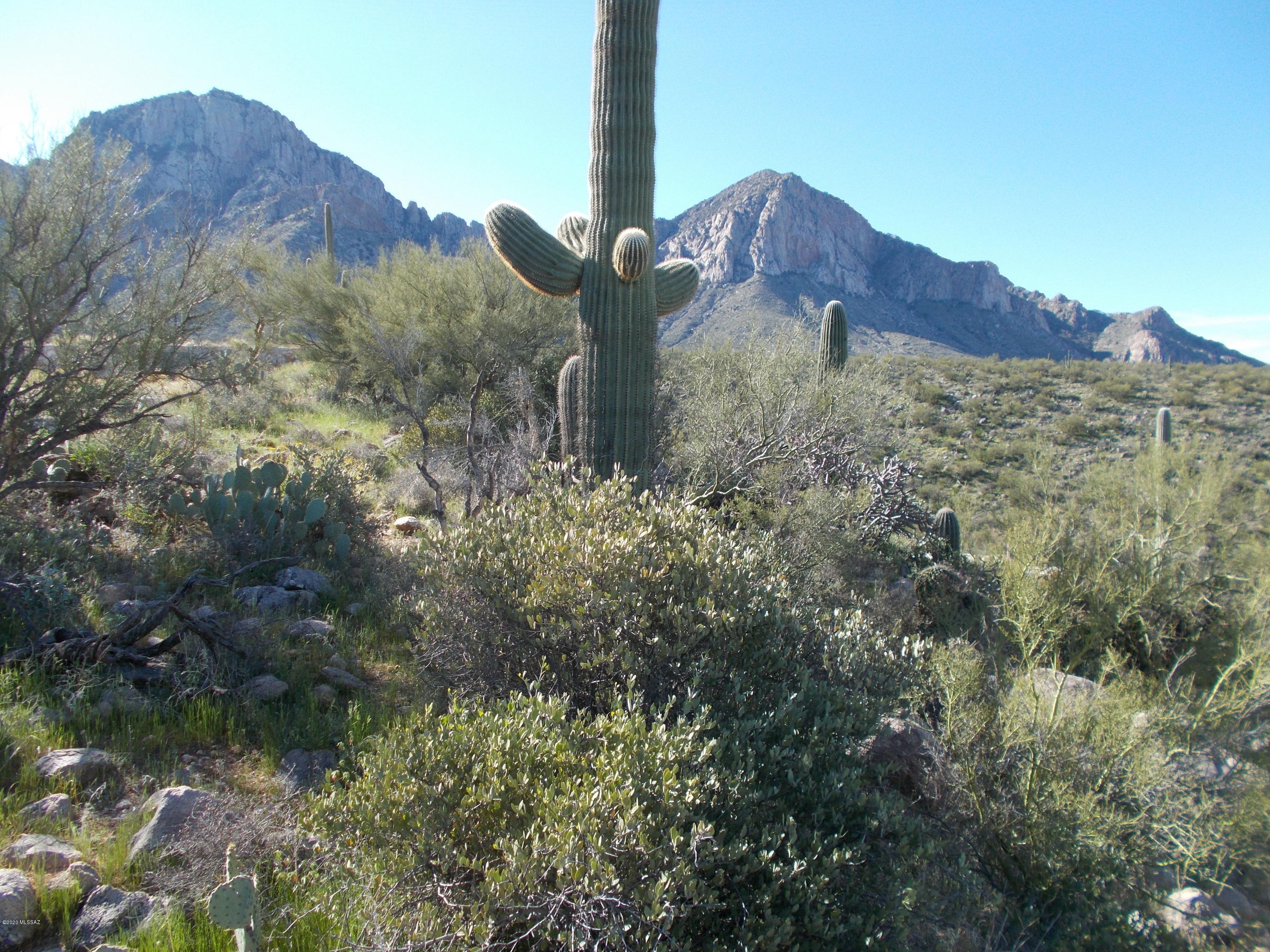 2280 Della Roccia Court, Unit 19 Oro Valley, AZ 85737 - Photo 1 of 20 a view of a house with a mountain and a forest