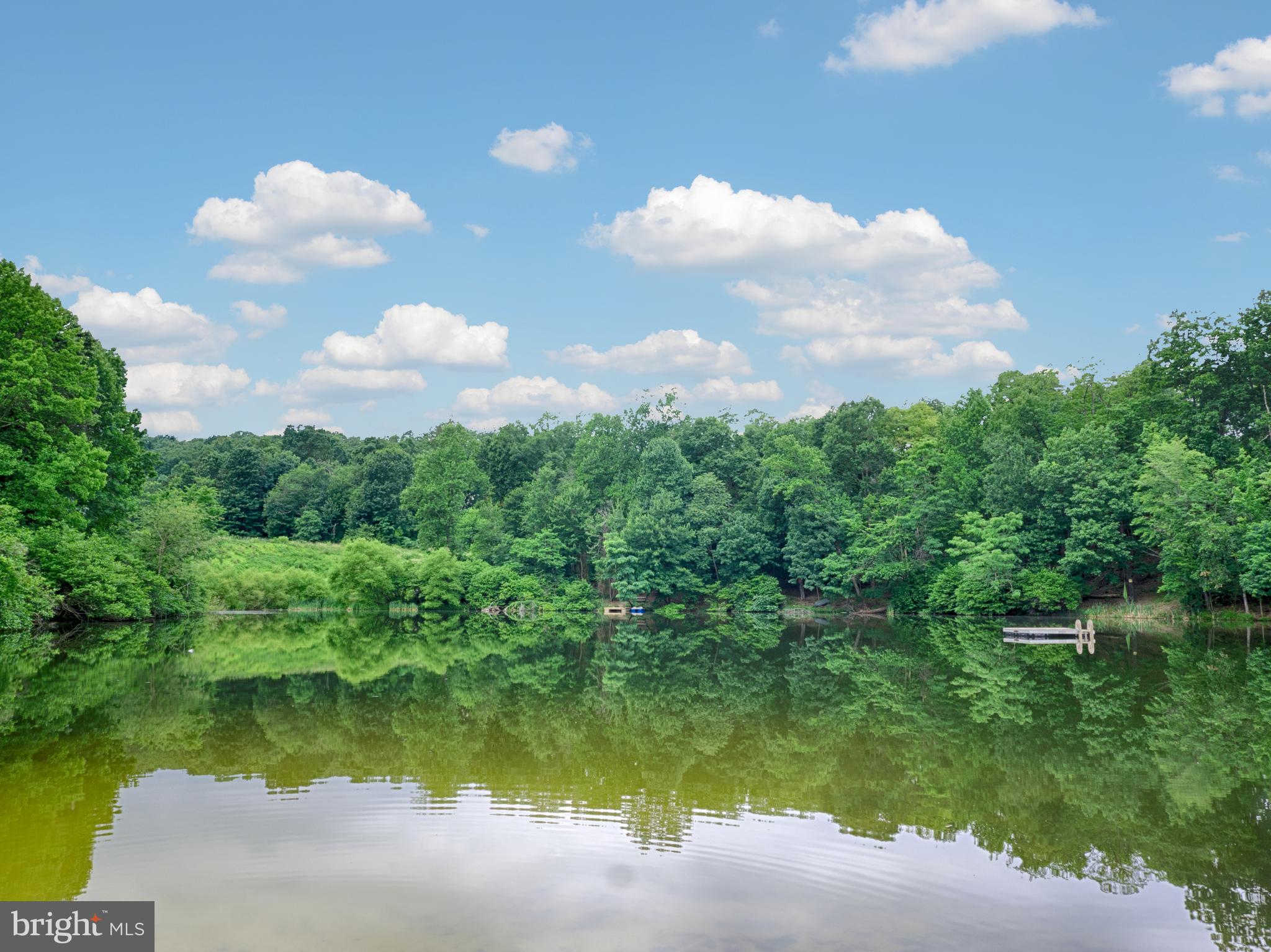 446 Wealthy Road Linden, VA 22642 - Photo 23 of 32 Community Lake