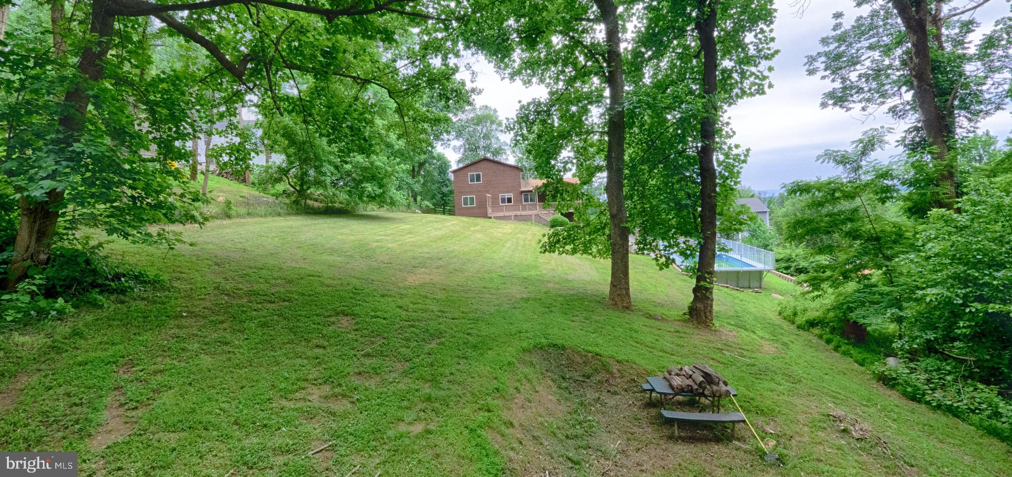 446 Wealthy Road Linden, VA 22642 - Photo 6 of 32 Room for Soccer? Touch Football? Rugby? Relaxing!