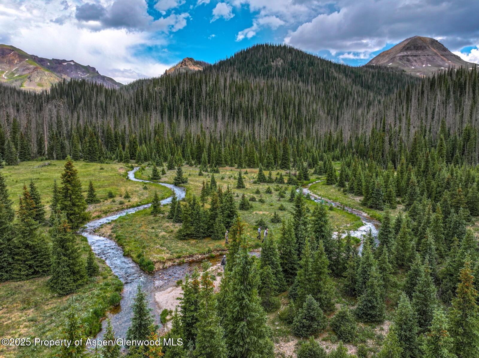 2418 Usfs Road Creede, CO 81130 - Photo 3 of 60 DJI_20250701142718_0116_D