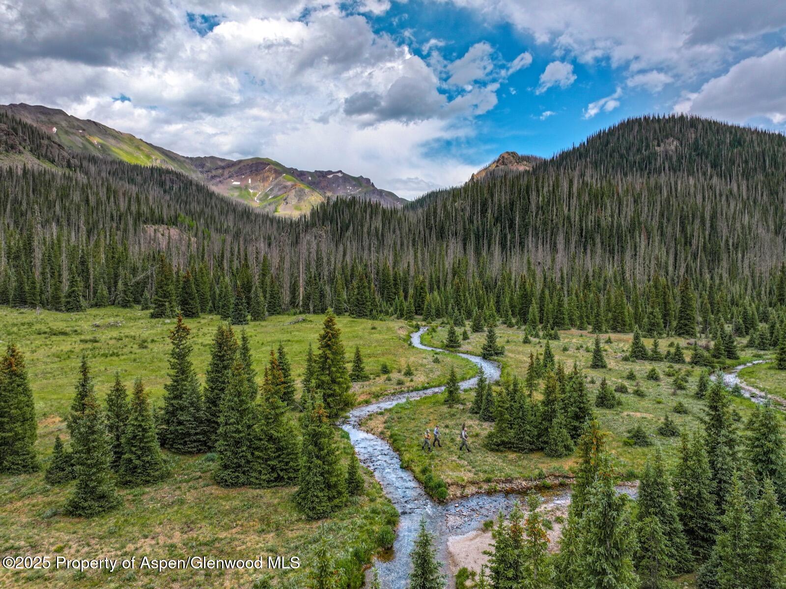 2418 Usfs Road Creede, CO 81130 - Photo 33 of 60 DJI_20250701142657_0115_D