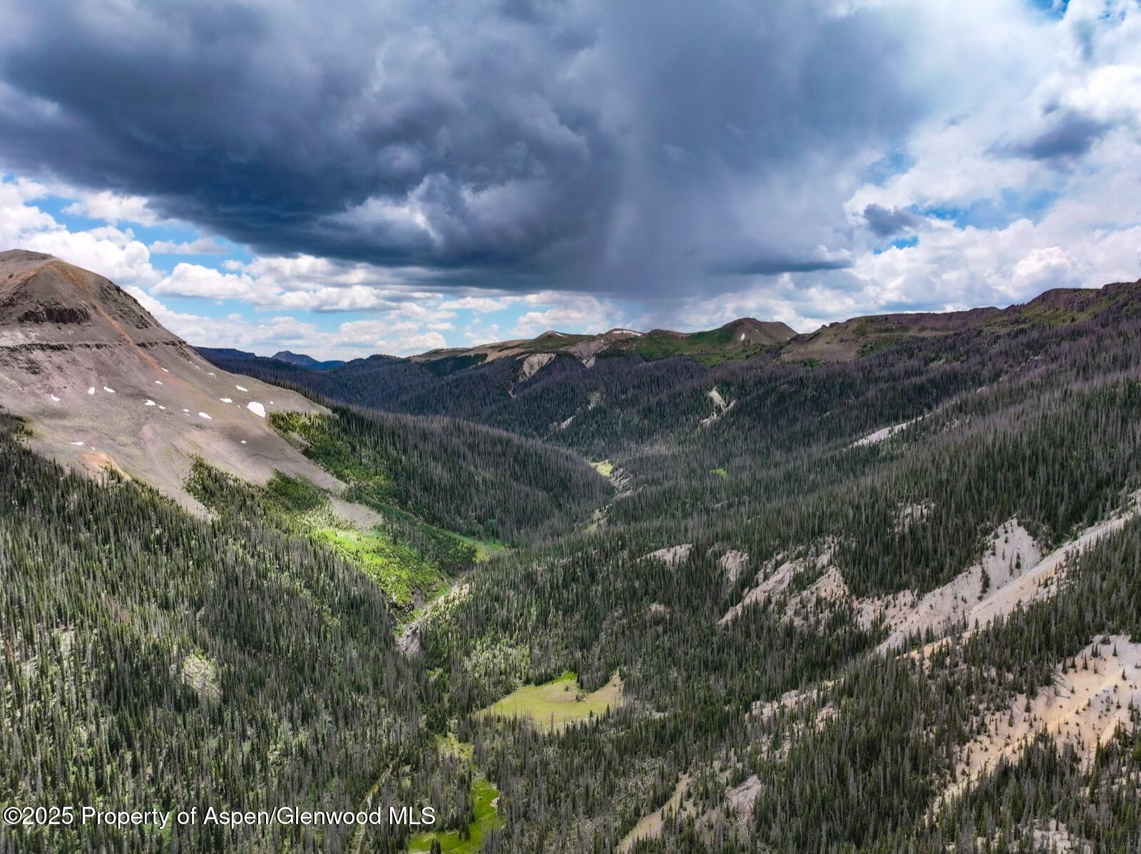 2418 Usfs Road Creede, CO 81130 - Photo 34 of 60 DJI_20250701141959_0106_D-2