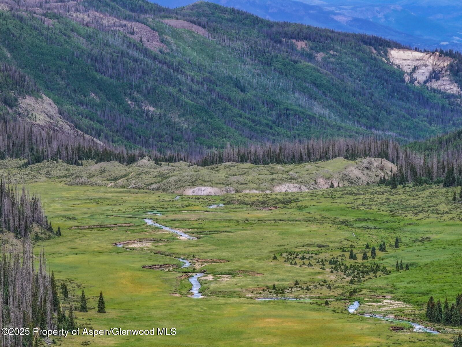 2418 Usfs Road Creede, CO 81130 - Photo 35 of 60 DJI_20250701141911_0105_D-2