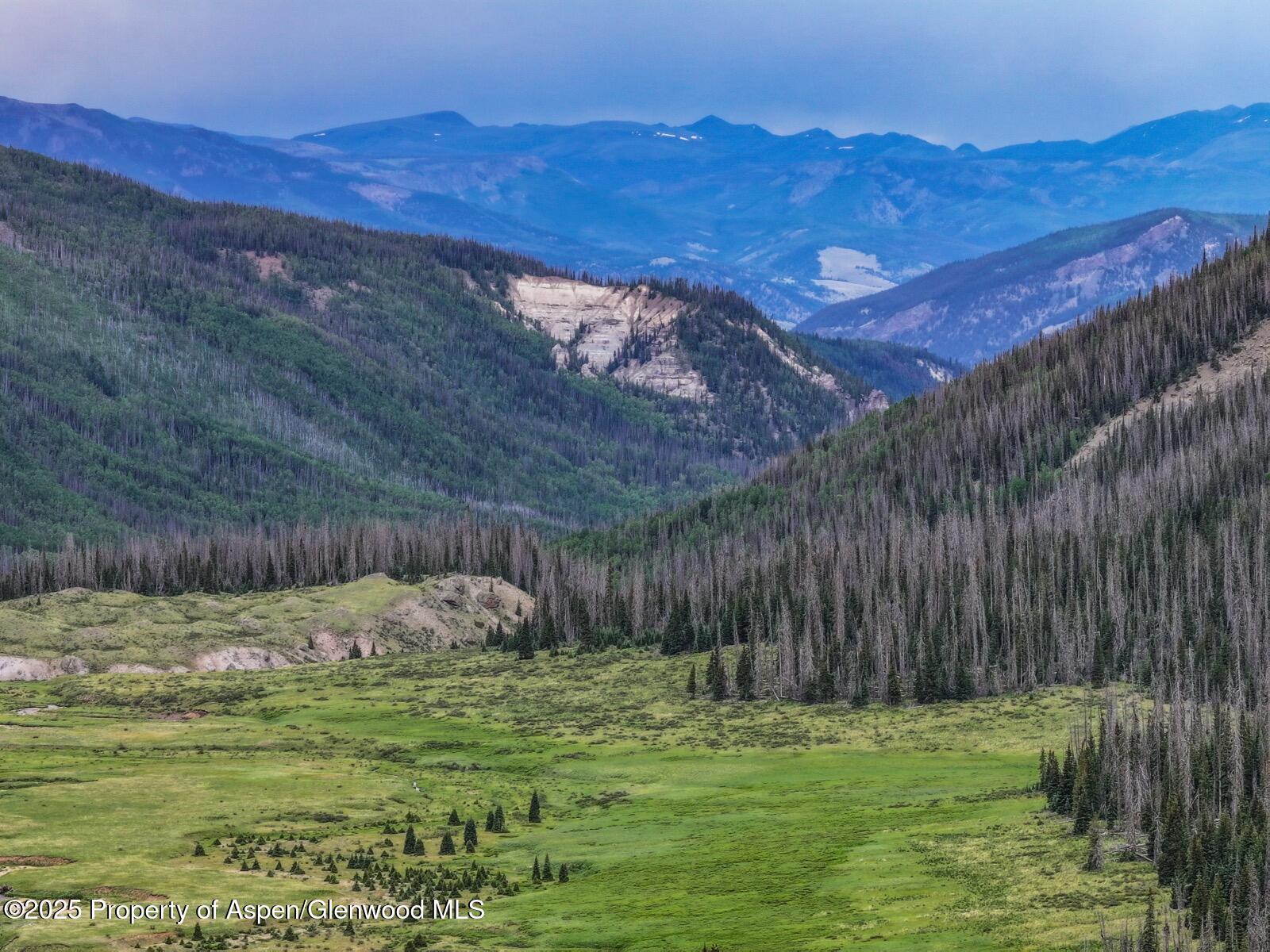 2418 Usfs Road Creede, CO 81130 - Photo 36 of 60 DJI_20250701141903_0103_D