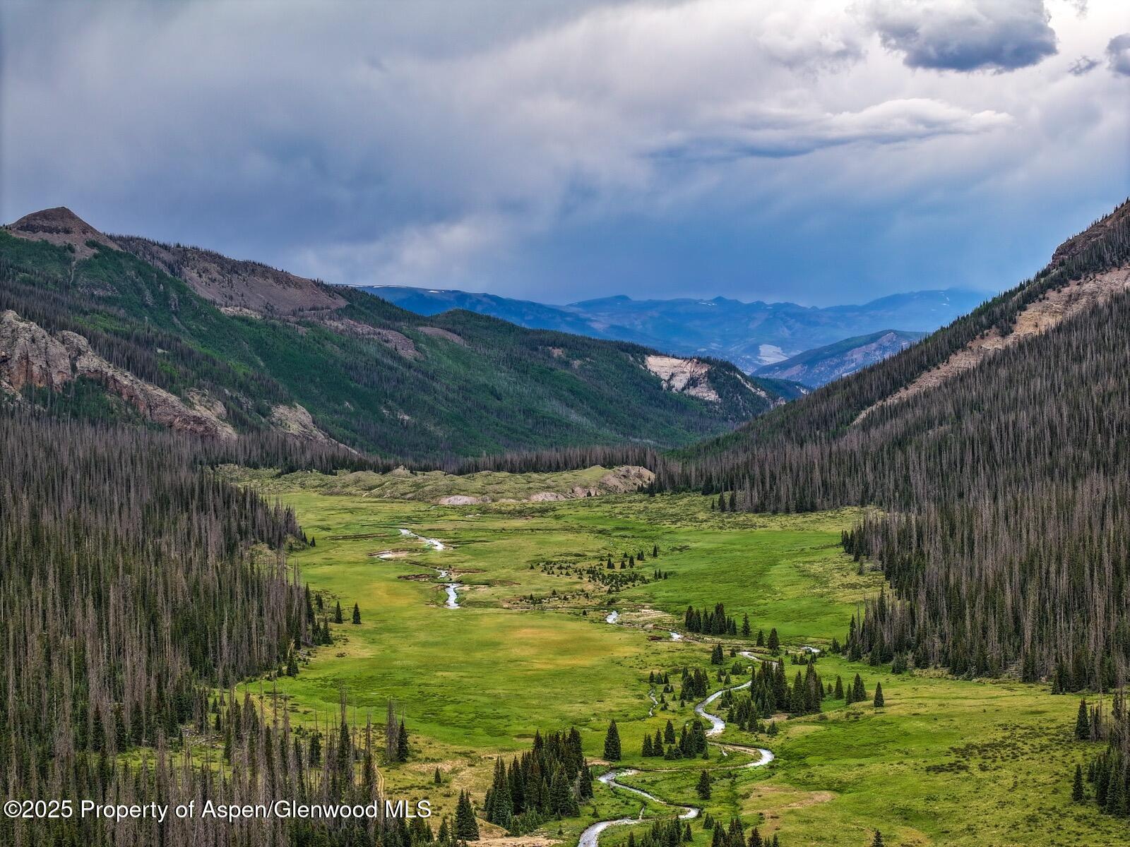2418 Usfs Road Creede, CO 81130 - Photo 38 of 60 DJI_20250701141848_0101_D