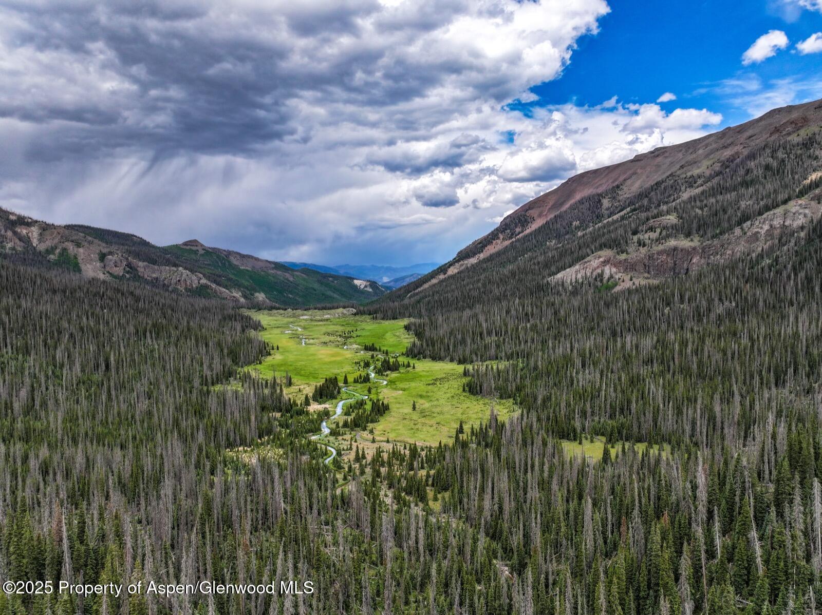 2418 Usfs Road Creede, CO 81130 - Photo 39 of 60 DJI_20250701141840_0100_D