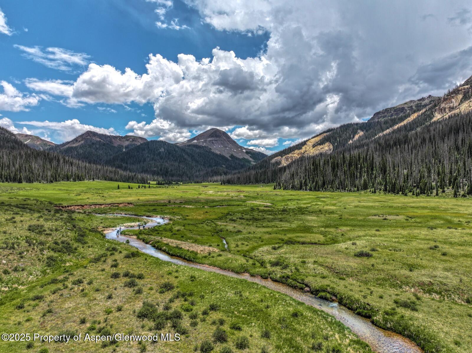 2418 Usfs Road Creede, CO 81130 - Photo 41 of 60 DJI_20250701134307_0080_D