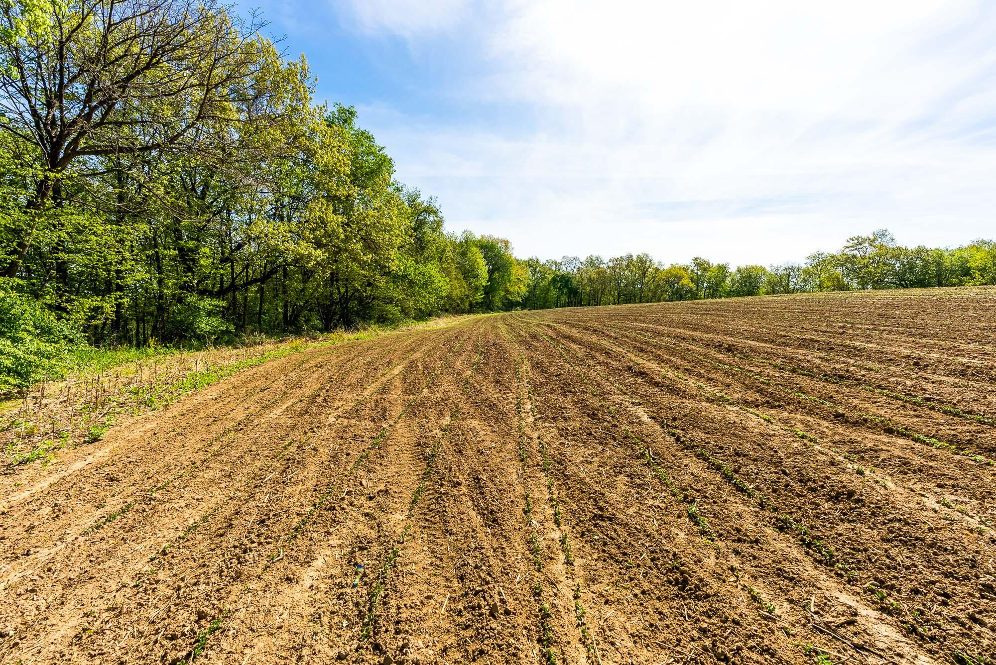 15999 Biba Road Muscoda, WI 53573 - Photo 52 of 103 Grant-County-WI-160-Acres-Land-For-Sale-