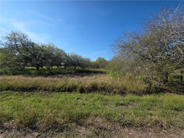a view of a lake view with houses in back and garden