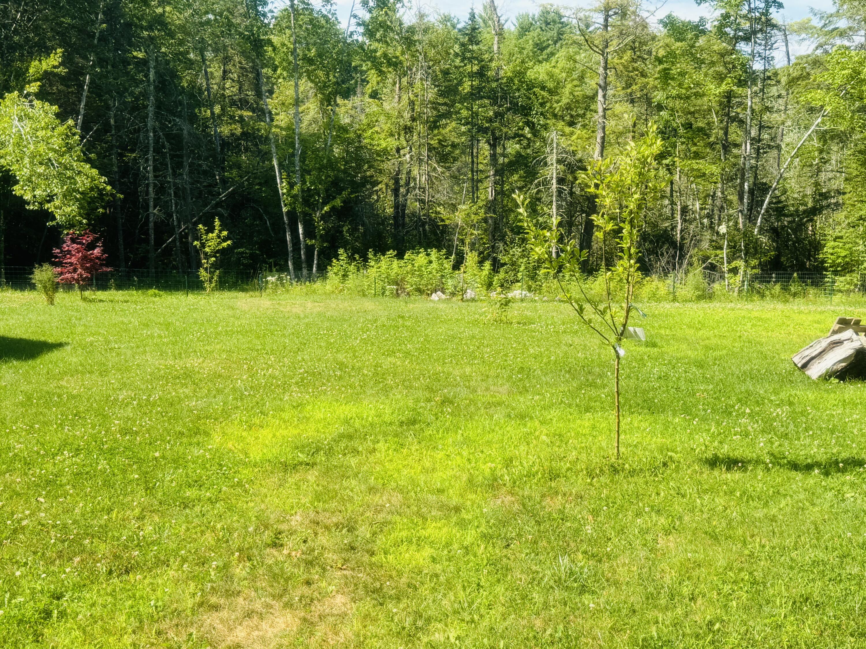 19 Meadow Road Casco, ME 04015 - Photo 13 of 69
