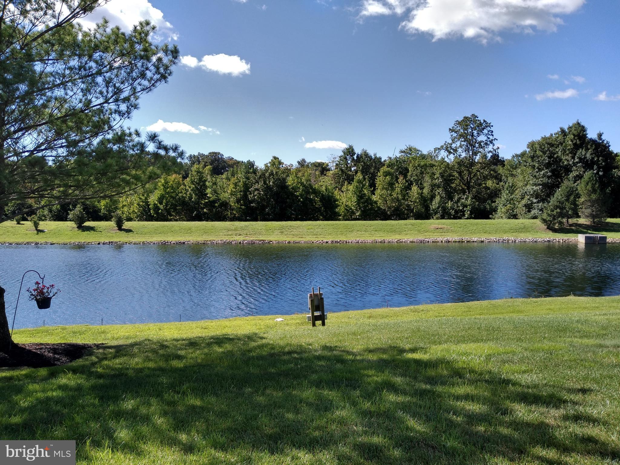 124 Somerfield Road Swedesboro, NJ 08085 - Photo 2 of 37 Backyard Pond - Water View