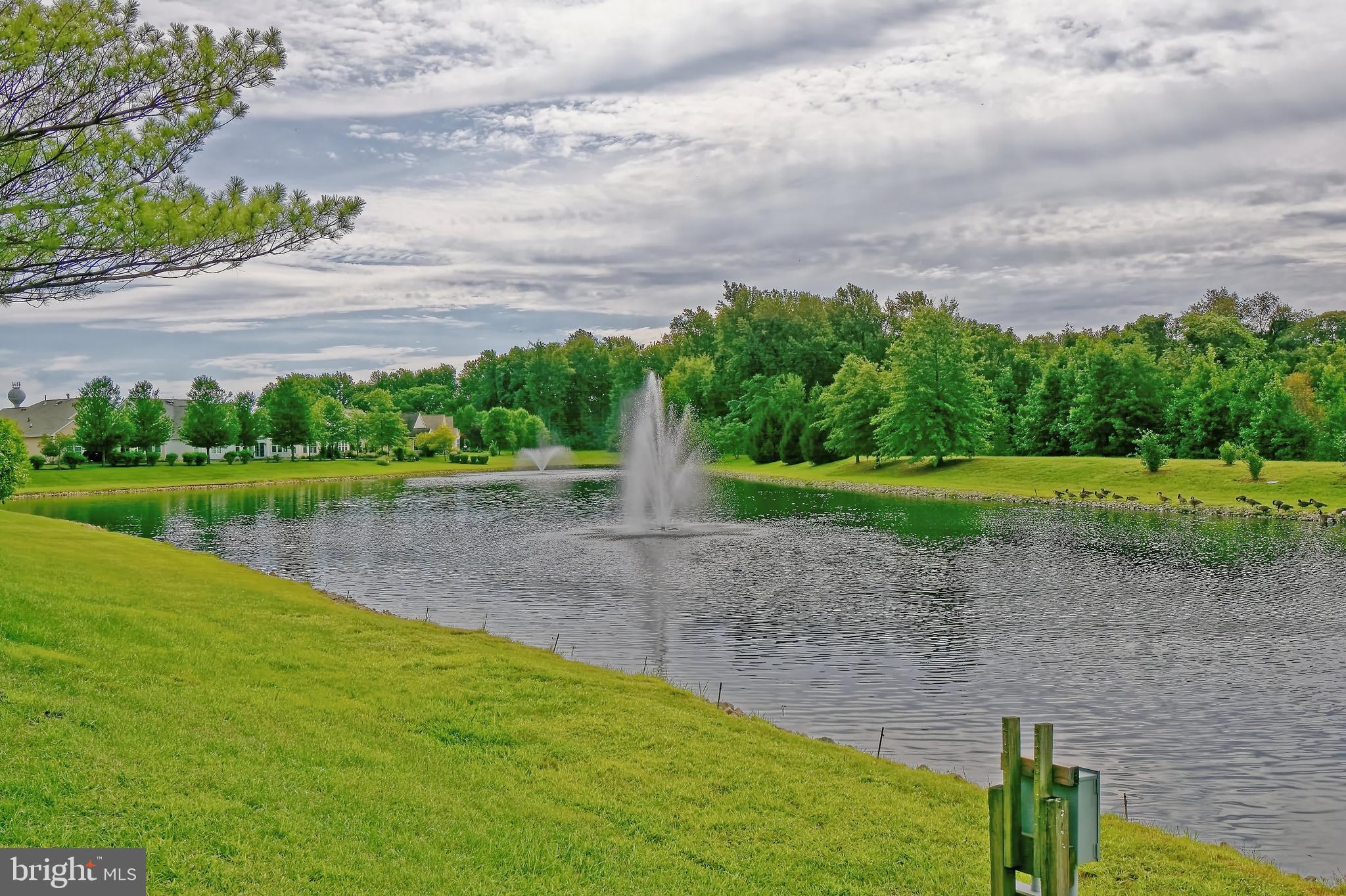 124 Somerfield Road Swedesboro, NJ 08085 - Photo 29 of 37 Backyard Pond - Water View