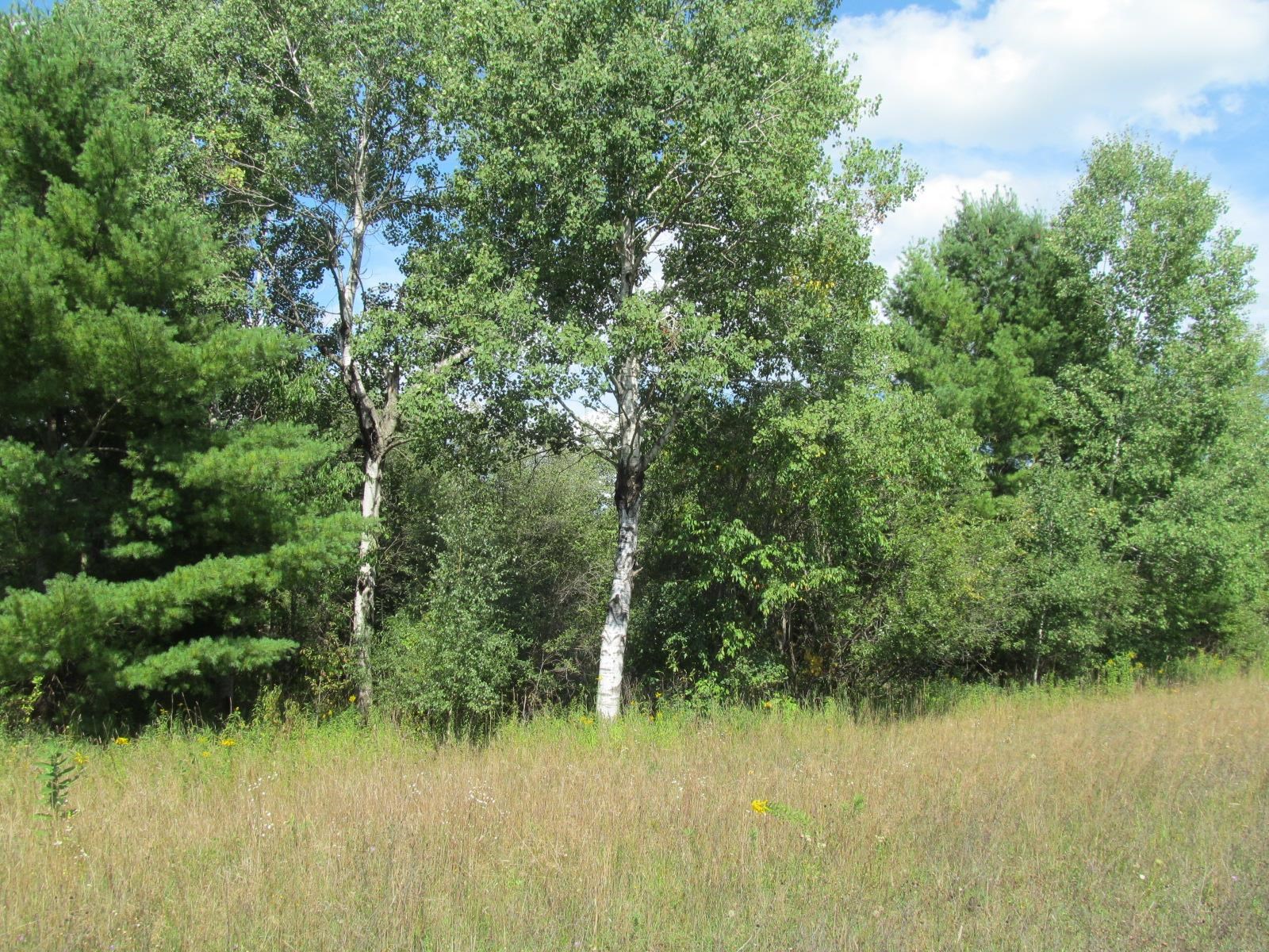 5981 North 41 1/2 Road Manton, MI 49663 - Photo 64 of 69