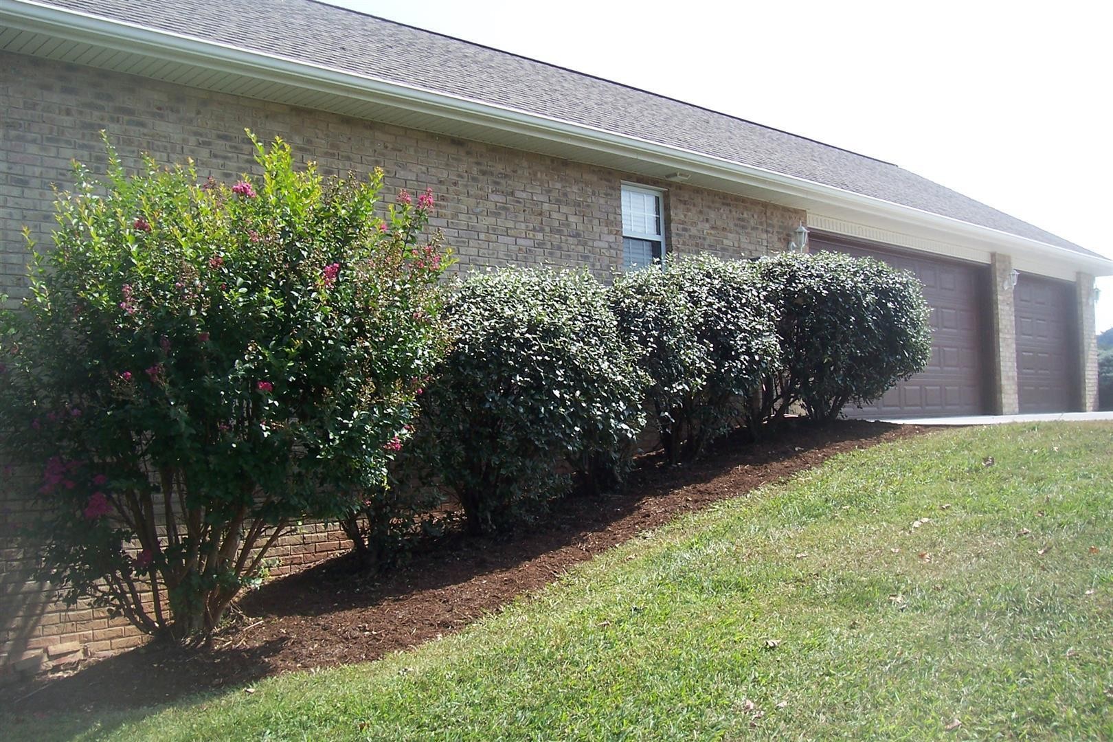 1409 Robert Ridge Road Sevierville, TN 37862 - Photo 40 of 46