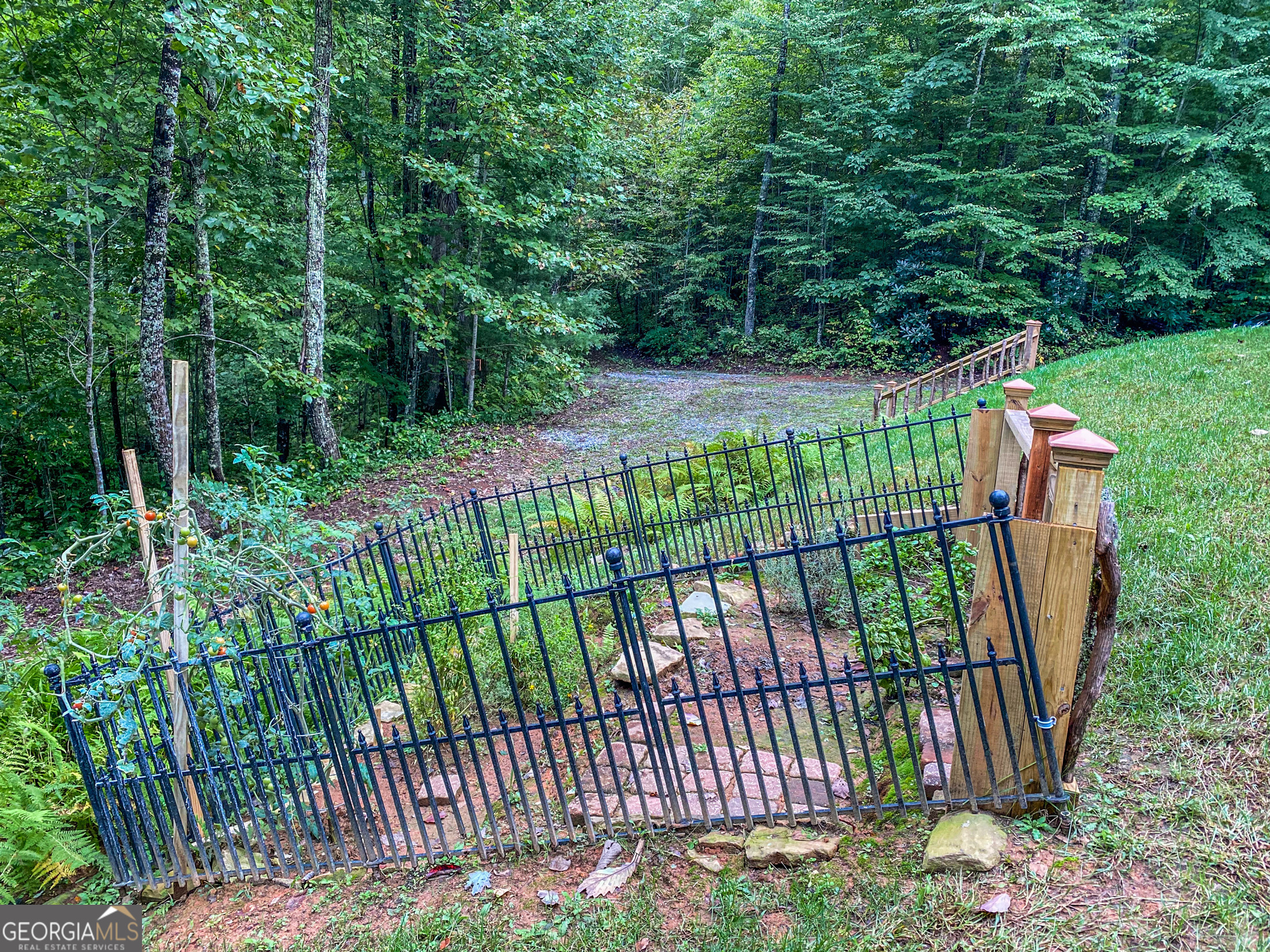 513 Coleman Heights Lane Rabun Gap, GA 30568 - Photo 49 of 53