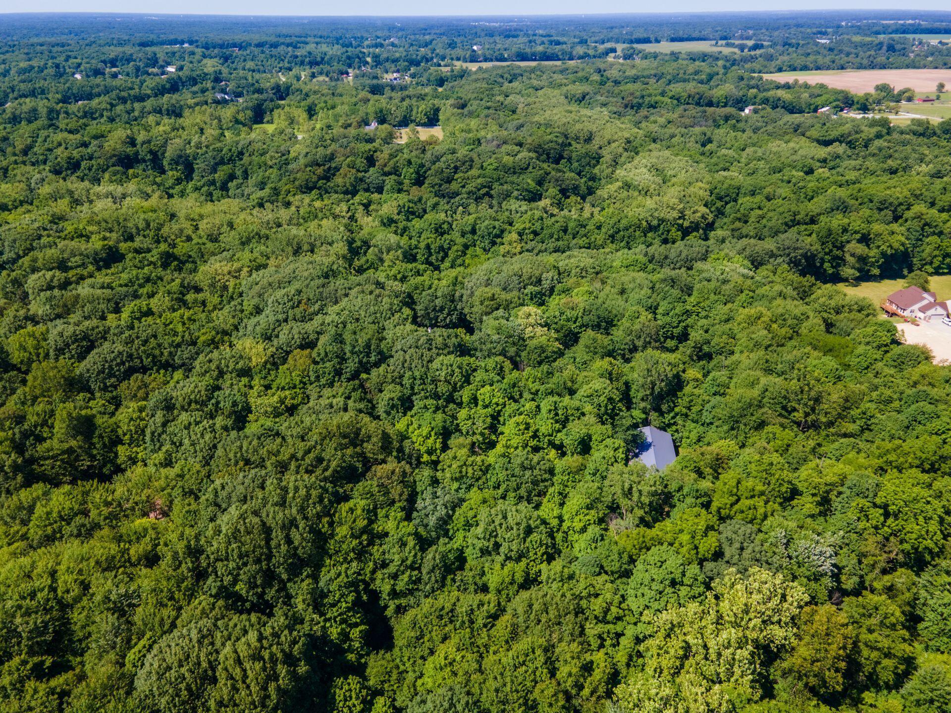 7307 Red Bank Road Westerville, OH 43082 - Photo 79 of 88 .