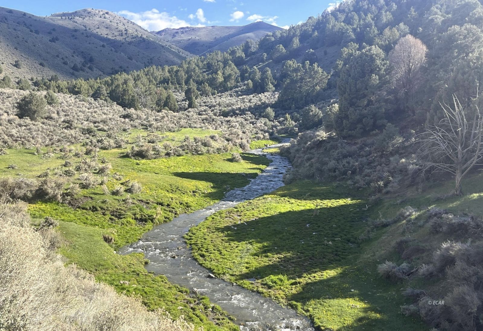 Mill Creek Road Battle Mountain, NV 89820 - Photo 1 of 9
