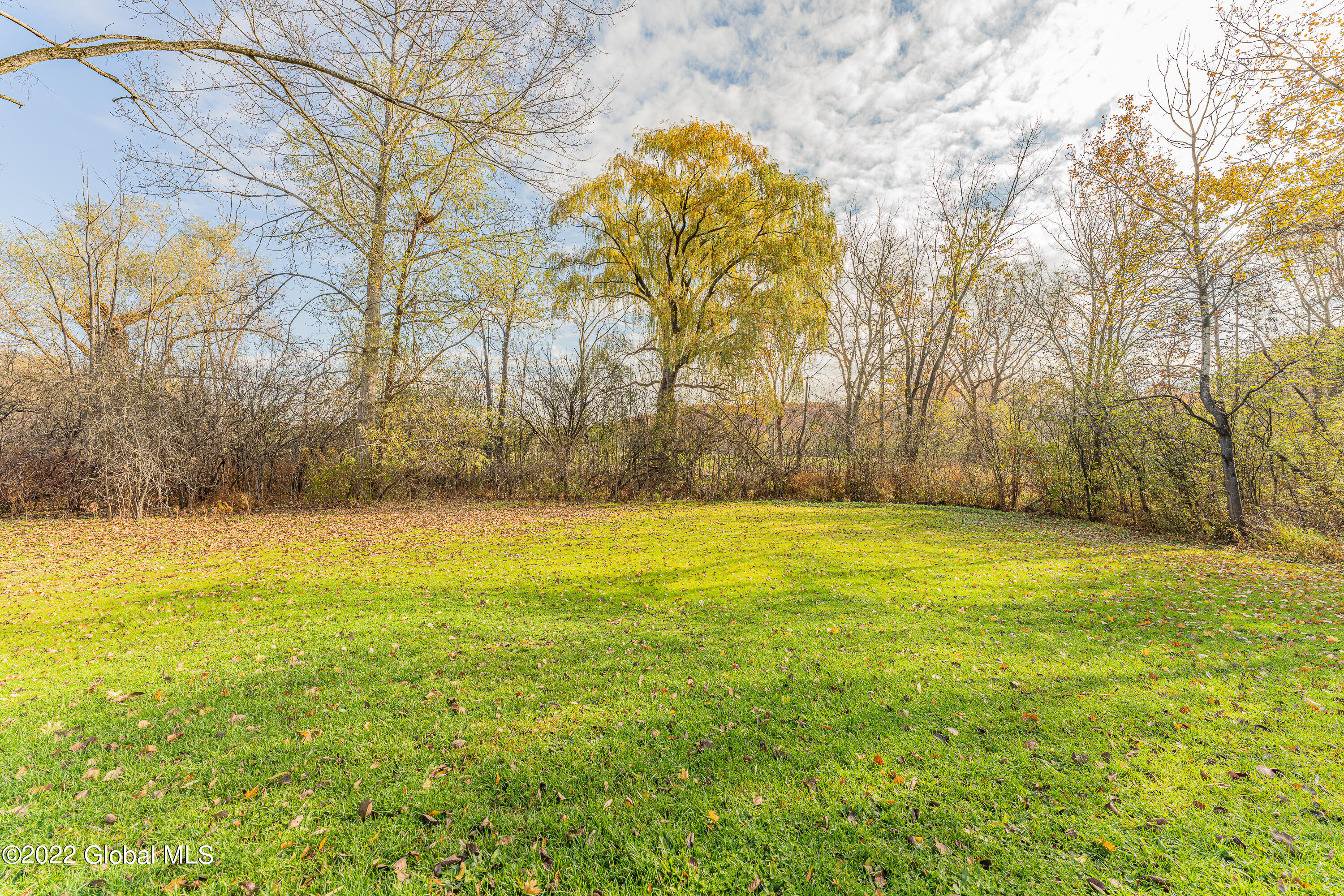 244 Brandle Road Altamont, NY 12009 - Photo 29 of 30 Yard 9