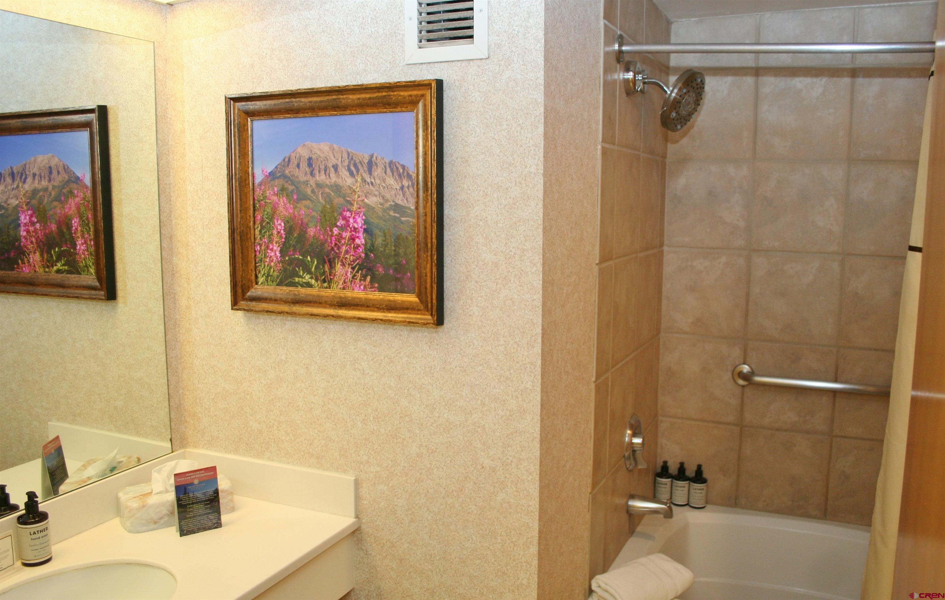6 Emmons Road, Unit 370 Crested Butte, CO 81225 - Photo 20 of 35 Gallery Image 20