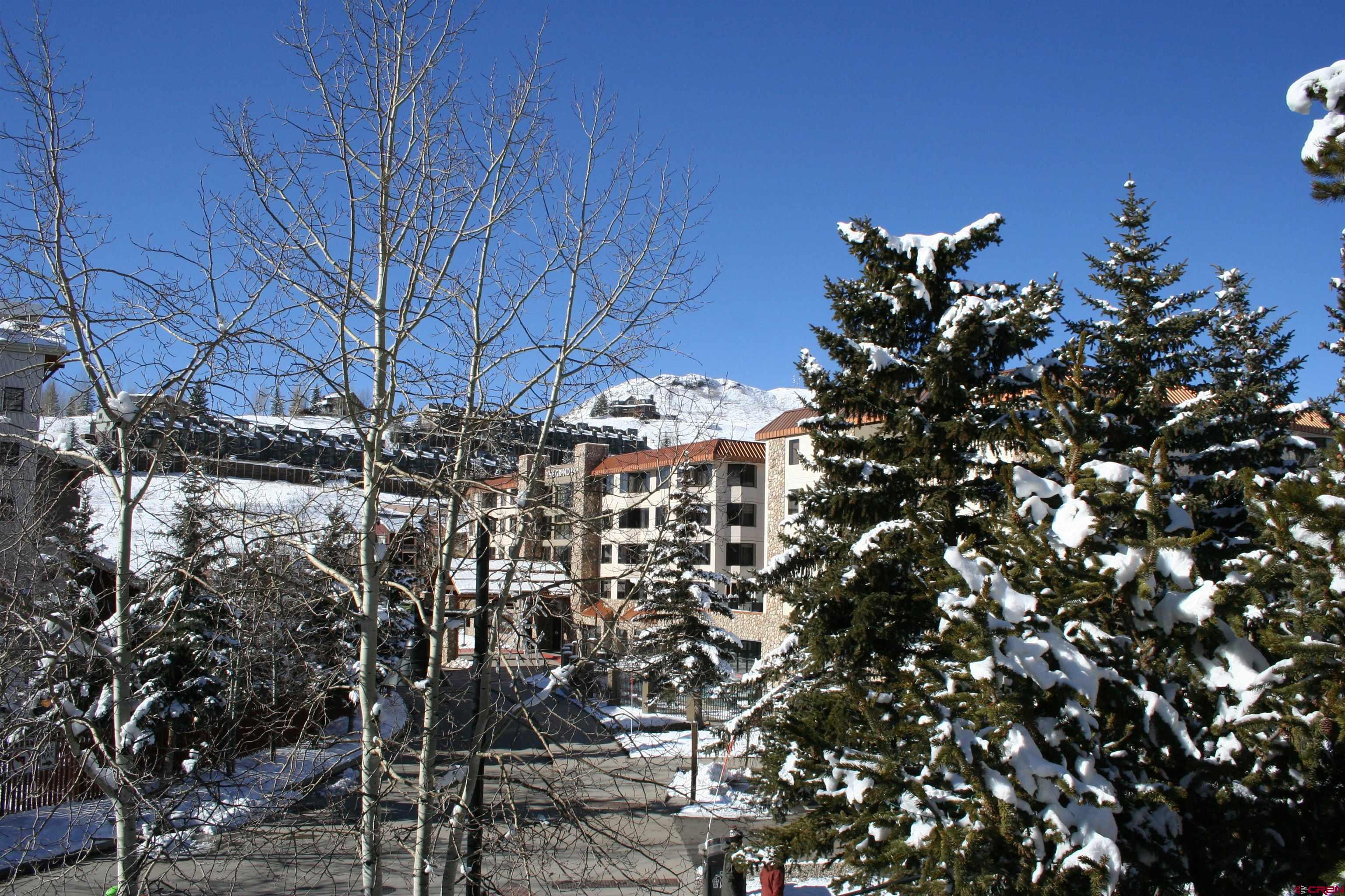 6 Emmons Road, Unit 370 Crested Butte, CO 81225 - Photo 4 of 35 Gallery Image 4