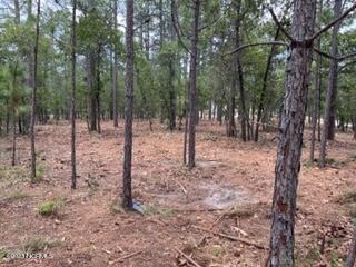 29 Chestertown Drive Pinehurst, NC 28374 - Photo 7 of 15 IMG_3155 (1)