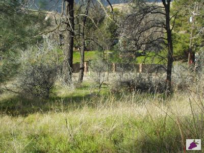 28714 Sky Harbour Road Friant, CA 93626 - Photo 3 of 3 Gallery Image 3