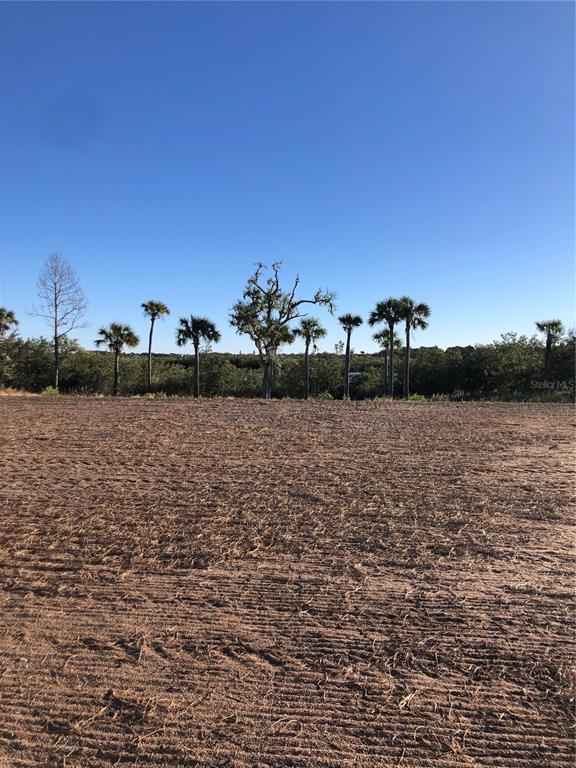 50 Coronado Road Flagler Beach, FL 32136 - Photo 8 of 16