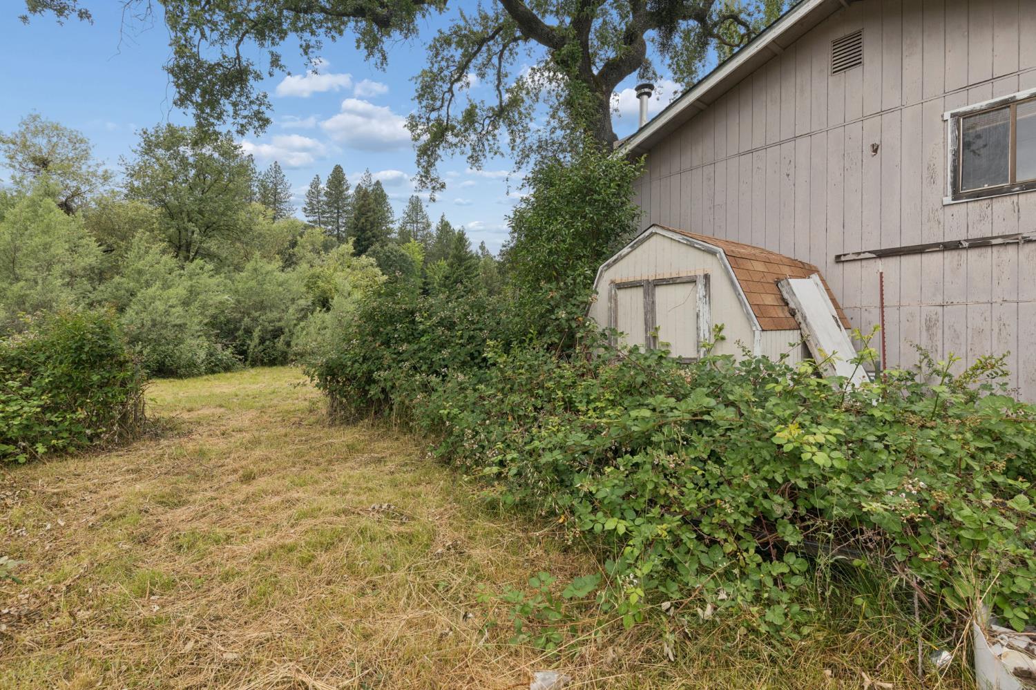 11183 Sunset Way Grass Valley, CA 95949 - Photo 38 of 49