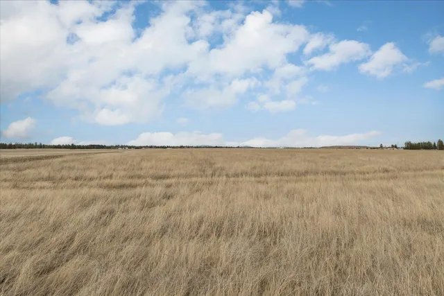 $199,900 | Xxx West Xxx W Thorpe Avenue, Medical Lake, WA 99022