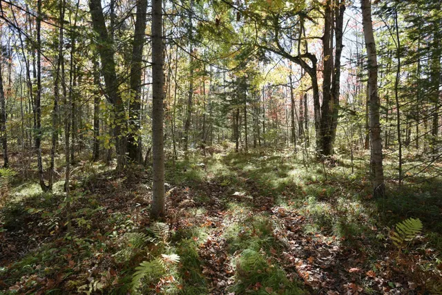 $249,900 | 77942 County Line Road, Mellen, WI 54546