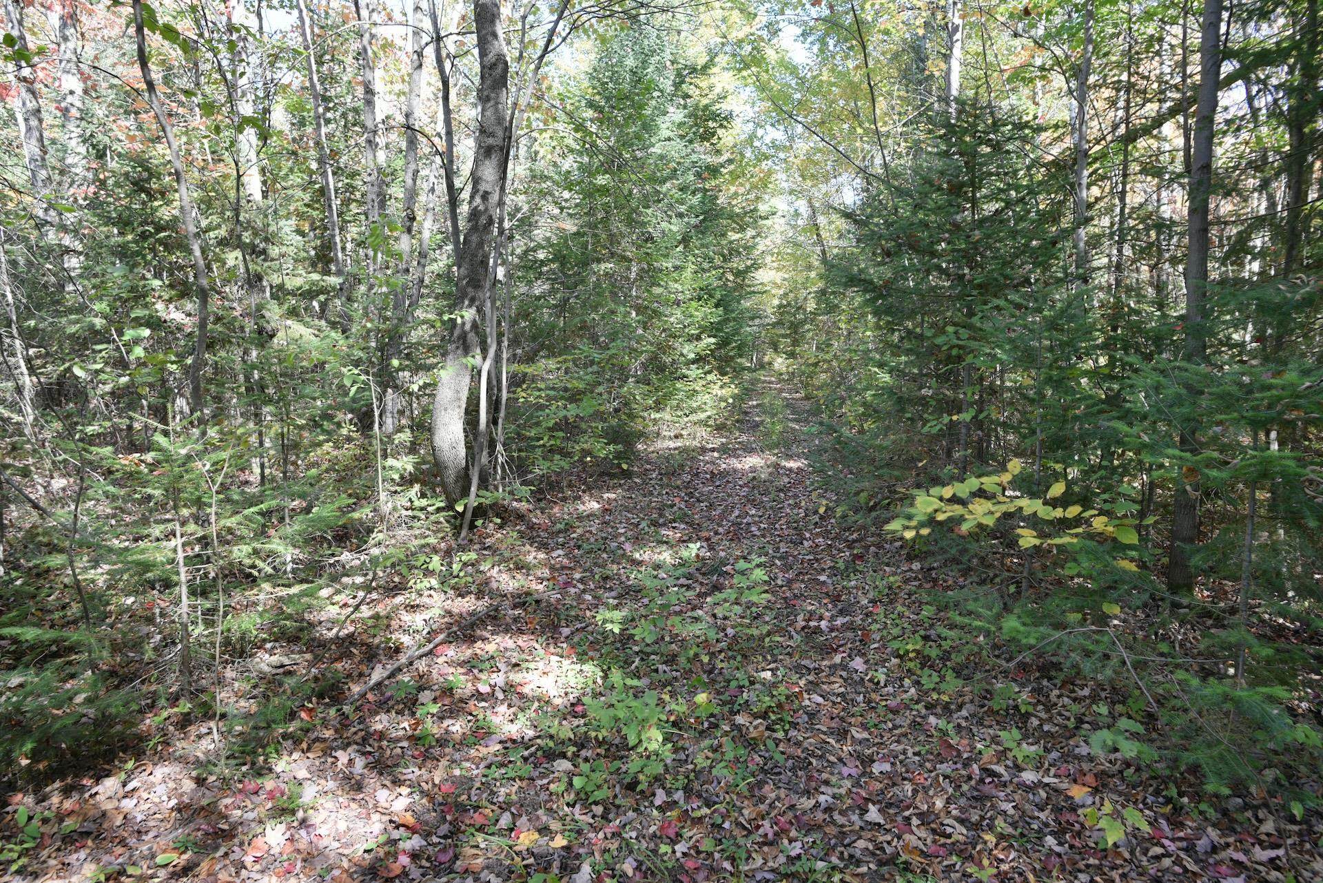 77942 County Line Road Mellen, WI 54546 - Photo 33 of 38