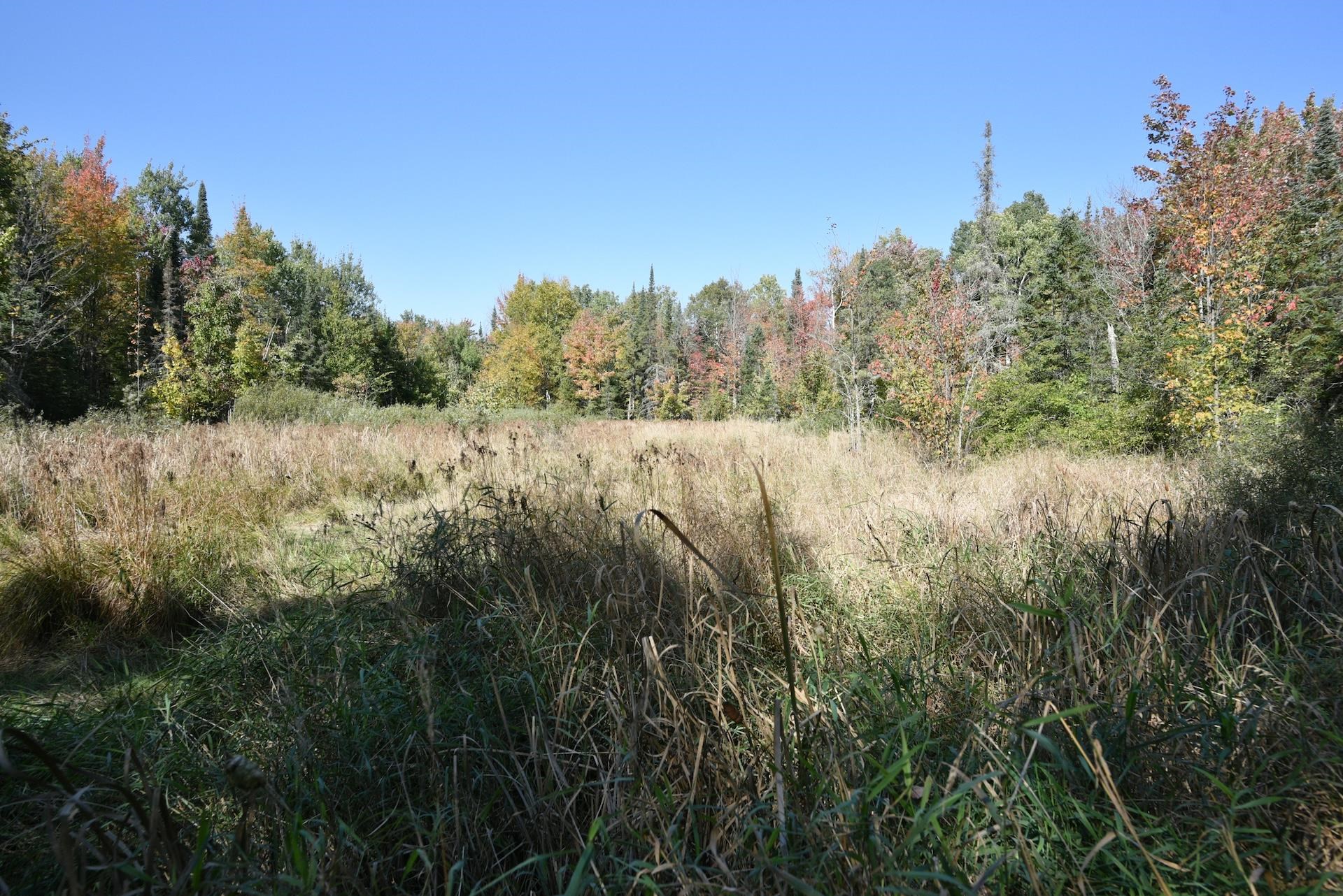 77942 County Line Road Mellen, WI 54546 - Photo 34 of 38
