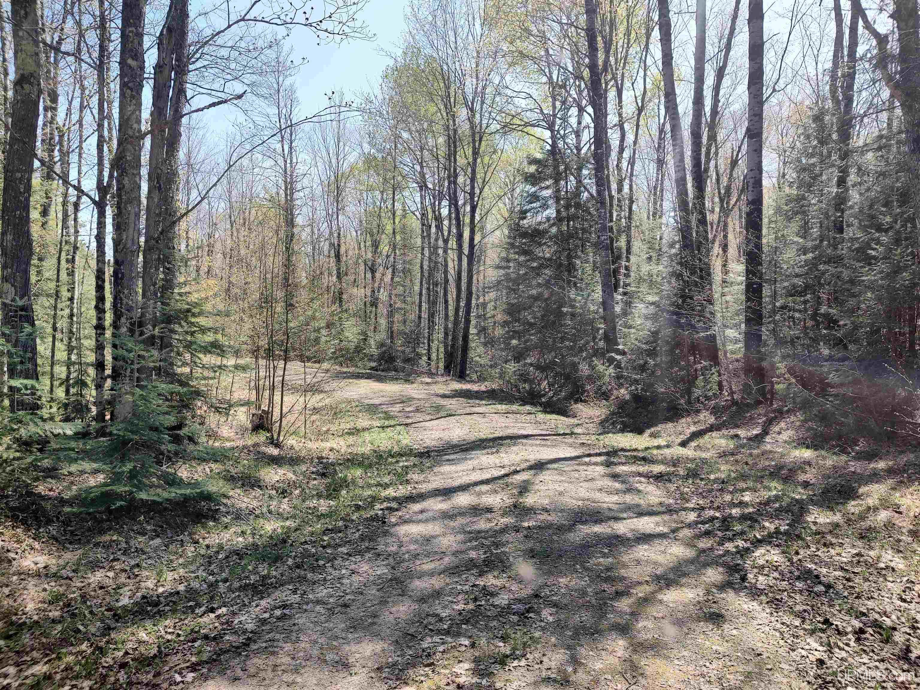 Tbd Tbd Road Pelkie, MI 49958 - Photo 45 of 51